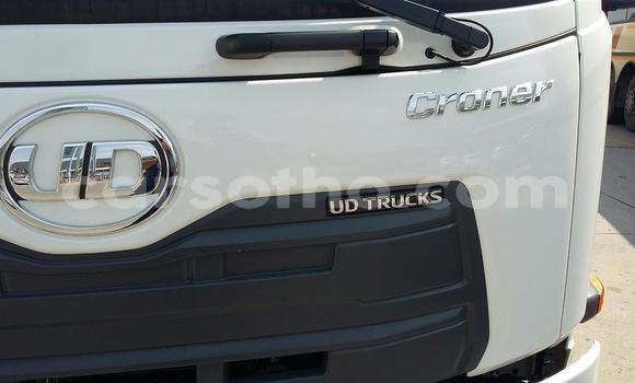 Acheter Occasion Utilitaire Nissan UD Blanc à Butha–Buthe, Thaba-Tseka Acheter Occasion Utilitaire Nissan UD Blanc à Butha–Buthe, Thaba-Tseka