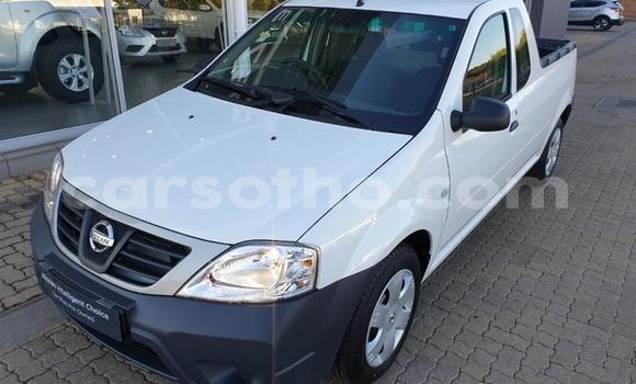 Buy Used Nissan NP 300 White Car in Maputsoa in Leribe Buy Used Nissan NP 300 White Car in Maputsoa in Leribe