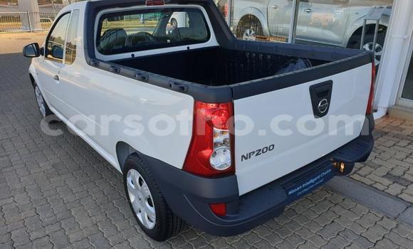 Buy Used Nissan NP 300 White Car in Maputsoa in Leribe Buy Used Nissan NP 300 White Car in Maputsoa in Leribe