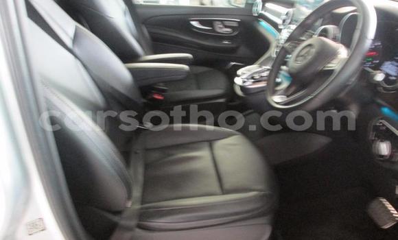 Acheter Occasion Voiture Mercedes-Benz Vito Gris à Hlotse, Leribe Acheter Occasion Voiture Mercedes-Benz Vito Gris à Hlotse, Leribe