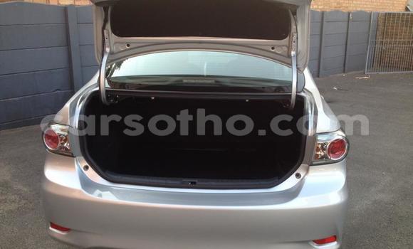 اشتري مستعمل Toyota Corolla Silver سيارة في Maseru في Maseru اشتري مستعمل Toyota Corolla Silver سيارة في Maseru في Maseru