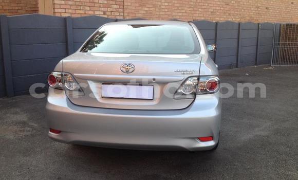 اشتري مستعمل Toyota Corolla Silver سيارة في Maseru في Maseru اشتري مستعمل Toyota Corolla Silver سيارة في Maseru في Maseru