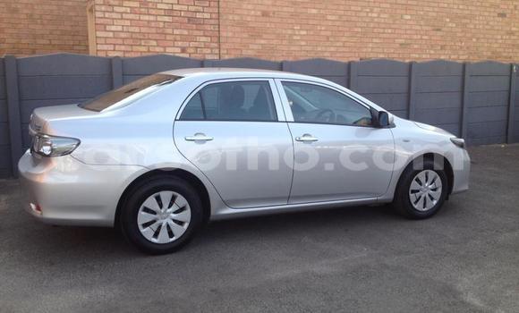 اشتري مستعمل Toyota Corolla Silver سيارة في Maseru في Maseru اشتري مستعمل Toyota Corolla Silver سيارة في Maseru في Maseru