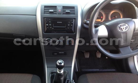 اشتري مستعمل Toyota Corolla Silver سيارة في Maseru في Maseru اشتري مستعمل Toyota Corolla Silver سيارة في Maseru في Maseru