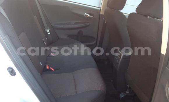 اشتري مستعمل Toyota Corolla Silver سيارة في Maseru في Maseru اشتري مستعمل Toyota Corolla Silver سيارة في Maseru في Maseru