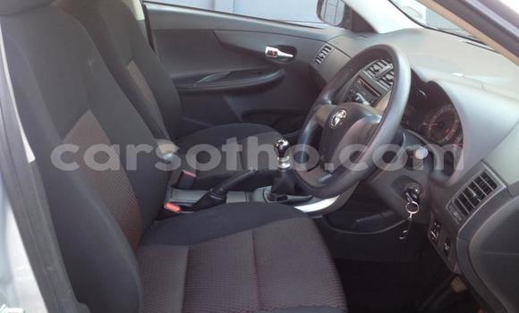 اشتري مستعمل Toyota Corolla Silver سيارة في Maseru في Maseru اشتري مستعمل Toyota Corolla Silver سيارة في Maseru في Maseru