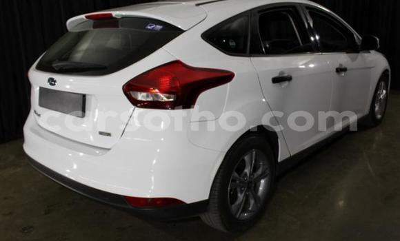 Acheter Occasion Voiture Ford Focus Blanc à Maseru, Maseru Acheter Occasion Voiture Ford Focus Blanc à Maseru, Maseru