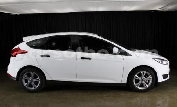 Acheter Occasion Voiture Ford Focus Blanc à Maseru, Maseru Acheter Occasion Voiture Ford Focus Blanc à Maseru, Maseru