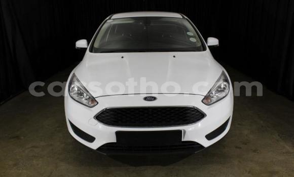 Acheter Occasion Voiture Ford Focus Blanc à Maseru, Maseru Acheter Occasion Voiture Ford Focus Blanc à Maseru, Maseru