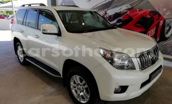 Buy Used Toyota Prado White Car in Hlotse in Leribe Buy Used Toyota Prado White Car in Hlotse in Leribe
