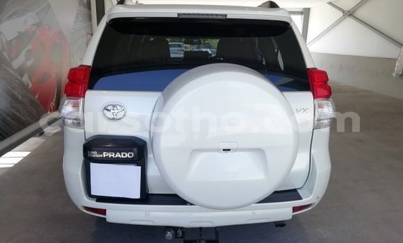 Buy Used Toyota Prado White Car in Hlotse in Leribe Buy Used Toyota Prado White Car in Hlotse in Leribe