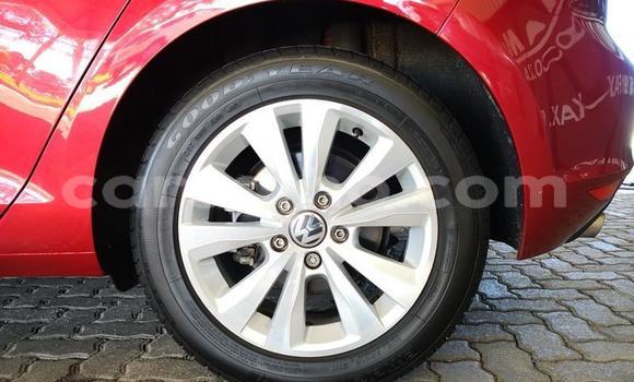 اشتري مستعمل Volkswagen Golf Red سيارة في Hlotse في Leribe اشتري مستعمل Volkswagen Golf Red سيارة في Hlotse في Leribe