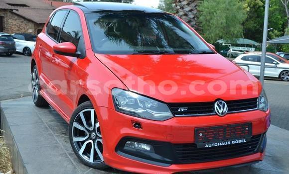 Buy Used Volkswagen Polo Red Car in Hlotse in Leribe Buy Used Volkswagen Polo Red Car in Hlotse in Leribe