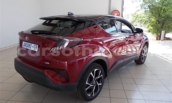 Buy Used Toyota C-HR Red Car in Maseru in Maseru Buy Used Toyota C-HR Red Car in Maseru in Maseru