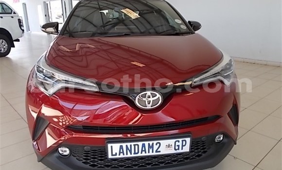 Buy Used Toyota C-HR Red Car in Maseru in Maseru Buy Used Toyota C-HR Red Car in Maseru in Maseru