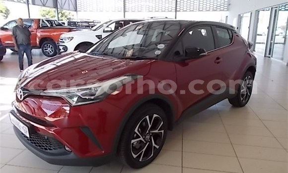 Buy Used Toyota C-HR Red Car in Maseru in Maseru Buy Used Toyota C-HR Red Car in Maseru in Maseru