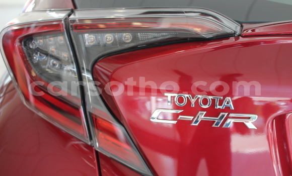 Buy Used Toyota C-HR Red Car in Maseru in Maseru Buy Used Toyota C-HR Red Car in Maseru in Maseru