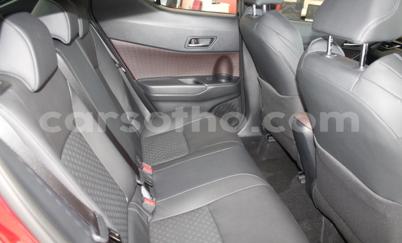 Buy Used Toyota C-HR Red Car in Maseru in Maseru Buy Used Toyota C-HR Red Car in Maseru in Maseru