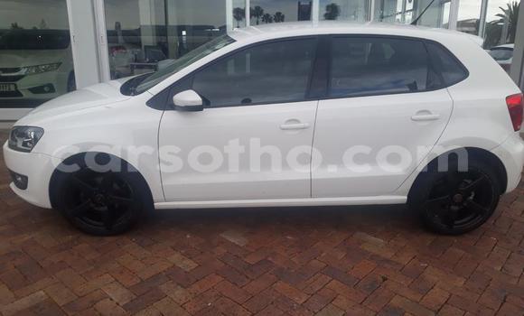 اشتري مستعمل Volkswagen Polo White سيارة في Maseru في Maseru اشتري مستعمل Volkswagen Polo White سيارة في Maseru في Maseru