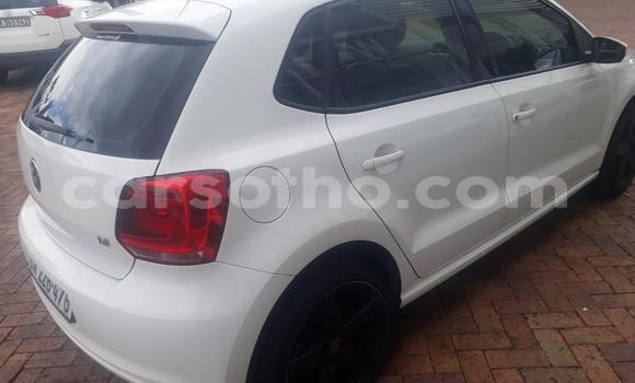 اشتري مستعمل Volkswagen Polo White سيارة في Maseru في Maseru اشتري مستعمل Volkswagen Polo White سيارة في Maseru في Maseru
