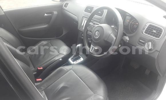 اشتري مستعمل Volkswagen Polo White سيارة في Maseru في Maseru اشتري مستعمل Volkswagen Polo White سيارة في Maseru في Maseru