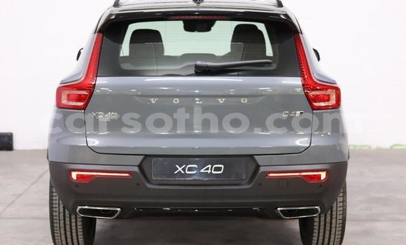 Sayi Na hannu Volvo XC40 White Mota in Maseru a Maseru Sayi Na hannu Volvo XC40 White Mota in Maseru a Maseru