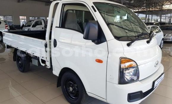 اشتري مستعمل Hyundai H200 White سيارة في Maseru في Maseru اشتري مستعمل Hyundai H200 White سيارة في Maseru في Maseru