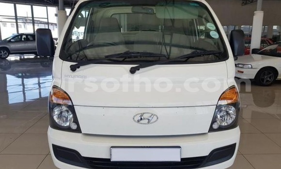 اشتري مستعمل Hyundai H200 White سيارة في Maseru في Maseru اشتري مستعمل Hyundai H200 White سيارة في Maseru في Maseru