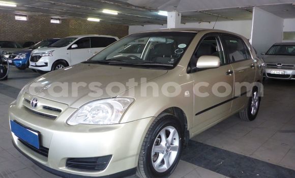 Buy Used Toyota Runx Other Car in Butha–Buthe in Thaba-Tseka Buy Used Toyota Runx Other Car in Butha–Buthe in Thaba-Tseka