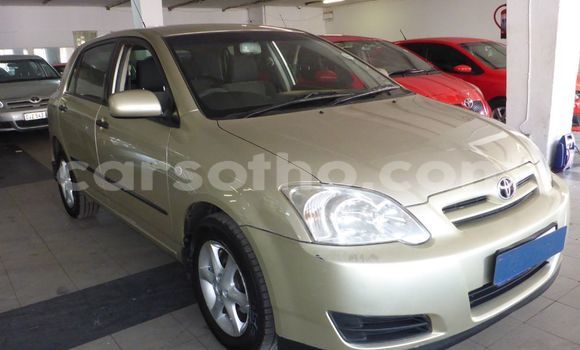 Buy Used Toyota Runx Other Car in Butha–Buthe in Thaba-Tseka Buy Used Toyota Runx Other Car in Butha–Buthe in Thaba-Tseka