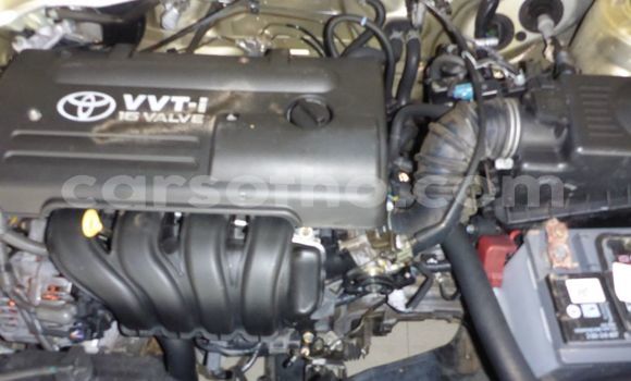 Buy Used Toyota Runx Other Car in Butha–Buthe in Thaba-Tseka Buy Used Toyota Runx Other Car in Butha–Buthe in Thaba-Tseka