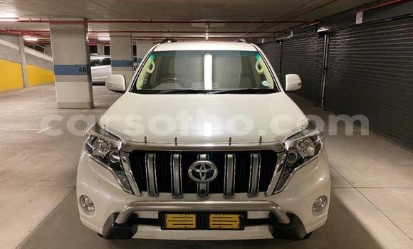 Buy Used Toyota Hilux White Car in Maseru in Maseru Buy Used Toyota Hilux White Car in Maseru in Maseru