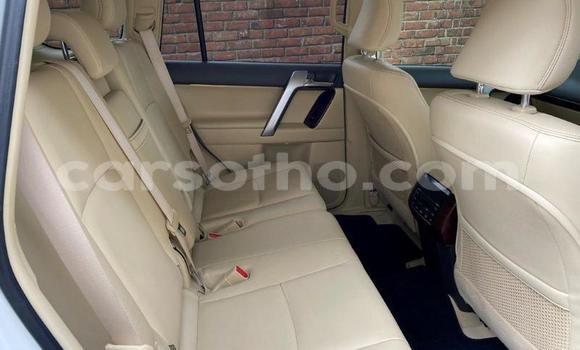 Buy Used Toyota Hilux White Car in Maseru in Maseru Buy Used Toyota Hilux White Car in Maseru in Maseru