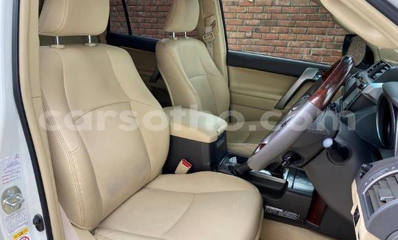 Buy Used Toyota Hilux White Car in Maseru in Maseru Buy Used Toyota Hilux White Car in Maseru in Maseru