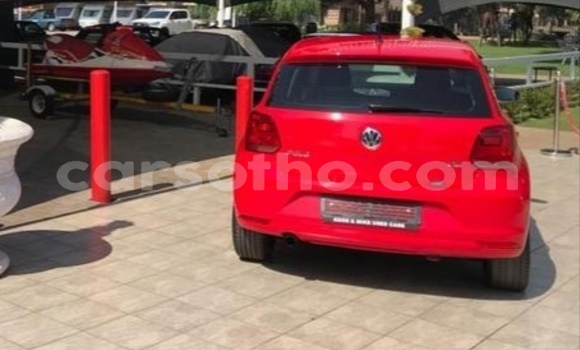 Buy Used Volkswagen Polo Red Car in Hlotse in Leribe Buy Used Volkswagen Polo Red Car in Hlotse in Leribe