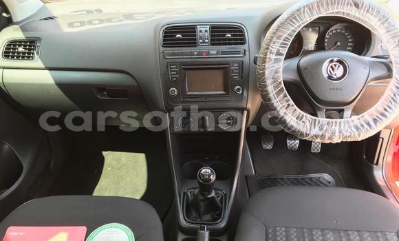 Buy Used Volkswagen Polo Red Car in Hlotse in Leribe Buy Used Volkswagen Polo Red Car in Hlotse in Leribe