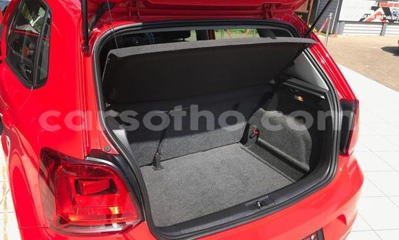 Buy Used Volkswagen Polo Red Car in Hlotse in Leribe Buy Used Volkswagen Polo Red Car in Hlotse in Leribe