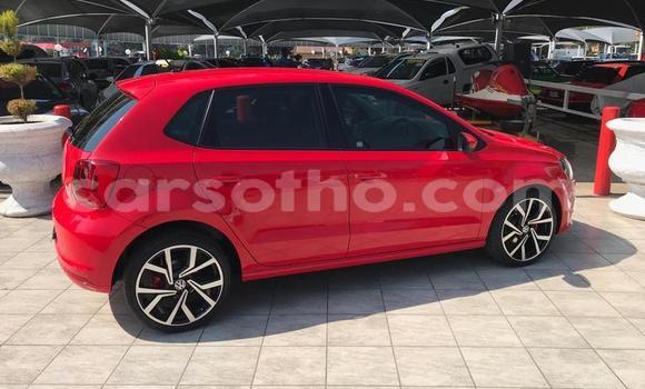 Buy Used Volkswagen Polo Red Car in Hlotse in Leribe Buy Used Volkswagen Polo Red Car in Hlotse in Leribe