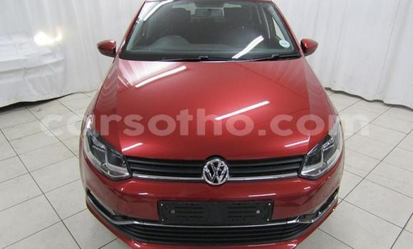 Buy Used Volkswagen Polo Red Car in Maseru in Maseru Buy Used Volkswagen Polo Red Car in Maseru in Maseru