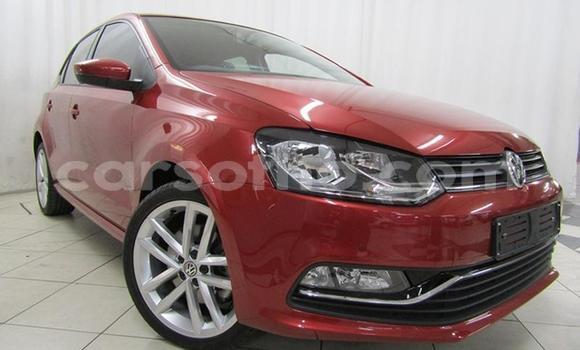 Buy Used Volkswagen Polo Red Car in Maseru in Maseru Buy Used Volkswagen Polo Red Car in Maseru in Maseru