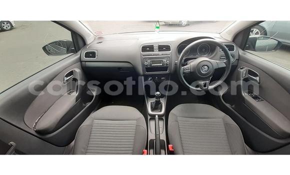 اشتري مستعمل Volkswagen Polo Silver سيارة في Hlotse في Leribe اشتري مستعمل Volkswagen Polo Silver سيارة في Hlotse في Leribe