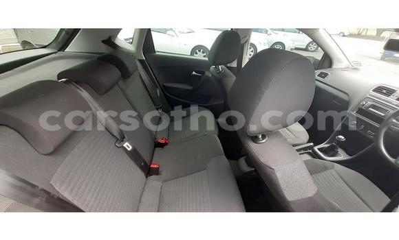 اشتري مستعمل Volkswagen Polo Silver سيارة في Hlotse في Leribe اشتري مستعمل Volkswagen Polo Silver سيارة في Hlotse في Leribe