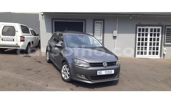 اشتري مستعمل Volkswagen Polo Silver سيارة في Hlotse في Leribe اشتري مستعمل Volkswagen Polo Silver سيارة في Hlotse في Leribe