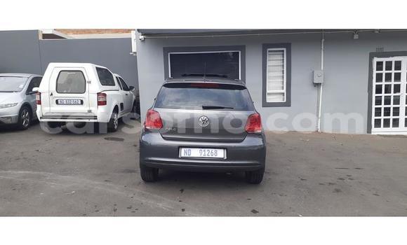 اشتري مستعمل Volkswagen Polo Silver سيارة في Hlotse في Leribe اشتري مستعمل Volkswagen Polo Silver سيارة في Hlotse في Leribe