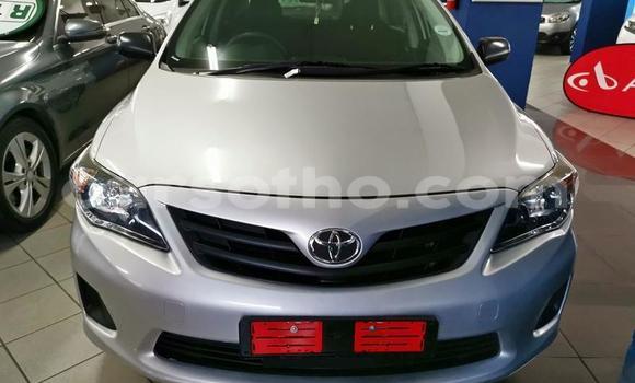 اشتري مستعمل Toyota Corolla Silver سيارة في Maseru في Maseru اشتري مستعمل Toyota Corolla Silver سيارة في Maseru في Maseru