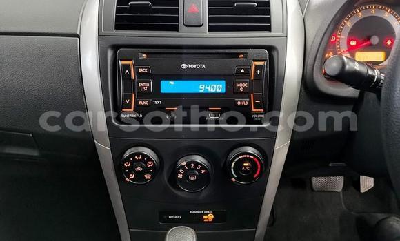اشتري مستعمل Toyota Corolla Silver سيارة في Maseru في Maseru اشتري مستعمل Toyota Corolla Silver سيارة في Maseru في Maseru
