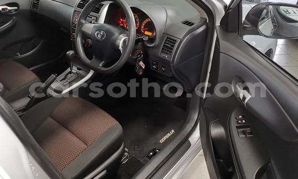 اشتري مستعمل Toyota Corolla Silver سيارة في Maseru في Maseru اشتري مستعمل Toyota Corolla Silver سيارة في Maseru في Maseru