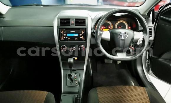 اشتري مستعمل Toyota Corolla Silver سيارة في Maseru في Maseru اشتري مستعمل Toyota Corolla Silver سيارة في Maseru في Maseru