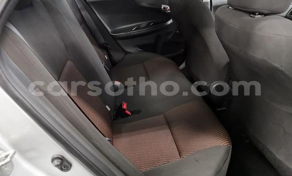 اشتري مستعمل Toyota Corolla Silver سيارة في Maseru في Maseru اشتري مستعمل Toyota Corolla Silver سيارة في Maseru في Maseru