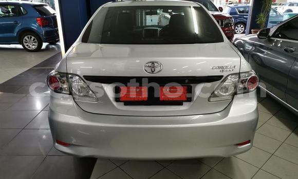 اشتري مستعمل Toyota Corolla Silver سيارة في Maseru في Maseru اشتري مستعمل Toyota Corolla Silver سيارة في Maseru في Maseru